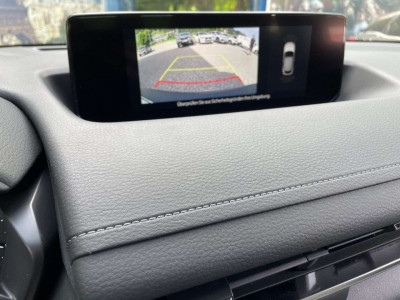 Mazda MX-30 Gebrauchtwagen