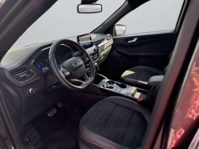 Ford Kuga Gebrauchtwagen Ford Kuga Gebrauchtwagen