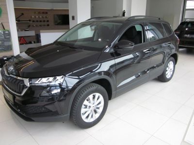 Skoda Karoq Gebrauchtwagen