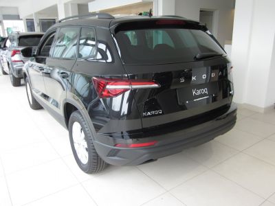 Skoda Karoq Gebrauchtwagen