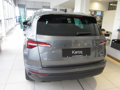 Skoda Karoq Gebrauchtwagen