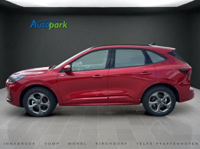 Ford Kuga Neuwagen