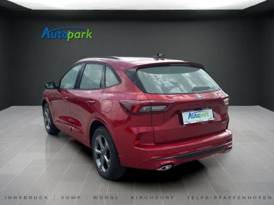 Ford Kuga Neuwagen