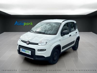 Fiat Panda Gebrauchtwagen