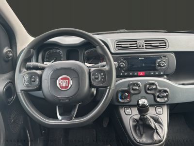 Fiat Panda Gebrauchtwagen