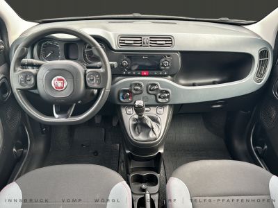 Fiat Panda Gebrauchtwagen