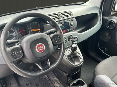 Fiat Panda Gebrauchtwagen