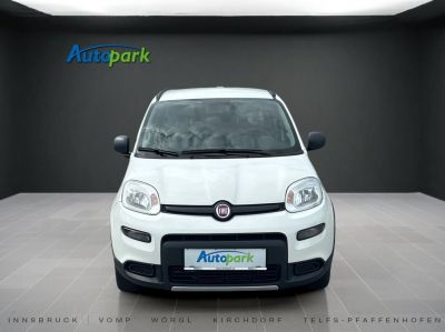 Fiat Panda Gebrauchtwagen