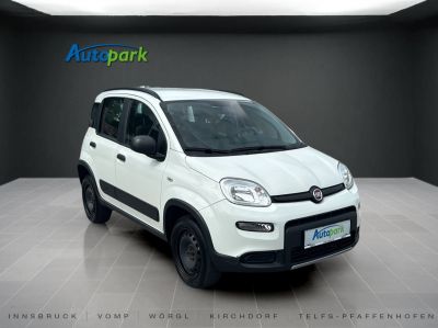 Fiat Panda Gebrauchtwagen