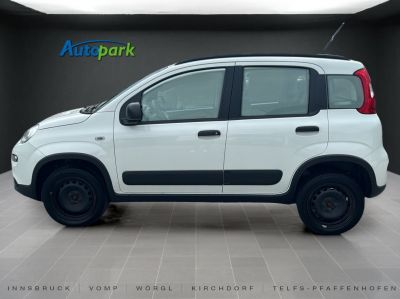 Fiat Panda Gebrauchtwagen