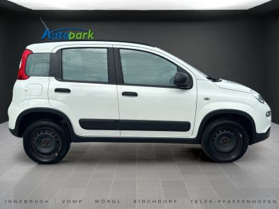 Fiat Panda Gebrauchtwagen