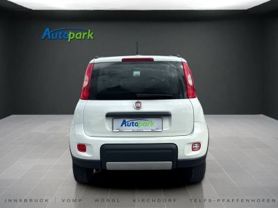 Fiat Panda Gebrauchtwagen