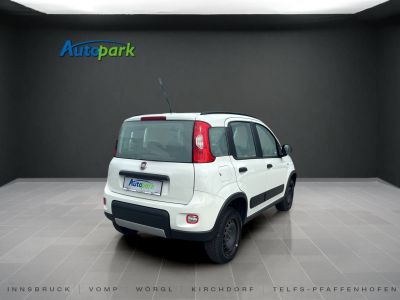 Fiat Panda Gebrauchtwagen