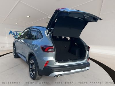 Ford Kuga Vorführwagen Ford Kuga Vorführwagen