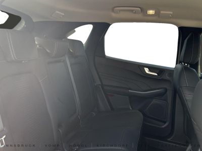 Ford Kuga Vorführwagen Ford Kuga Vorführwagen