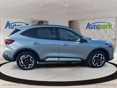 Ford Kuga Vorführwagen Ford Kuga Vorführwagen