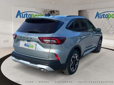 Ford Kuga Vorführwagen Ford Kuga Vorführwagen