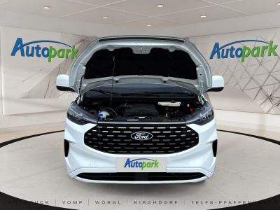 Ford Tourneo Custom Gebrauchtwagen