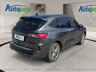 Ford Kuga Gebrauchtwagen