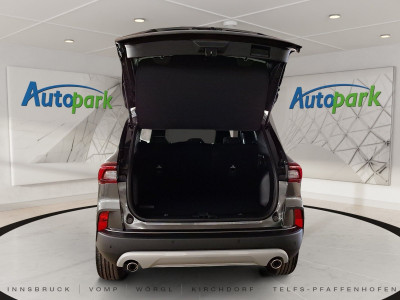 Ford Kuga Vorführwagen