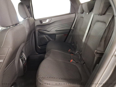 Ford Kuga Vorführwagen