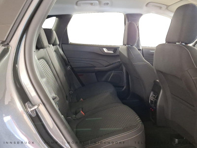 Ford Kuga Vorführwagen