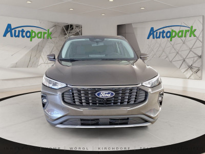 Ford Kuga Vorführwagen