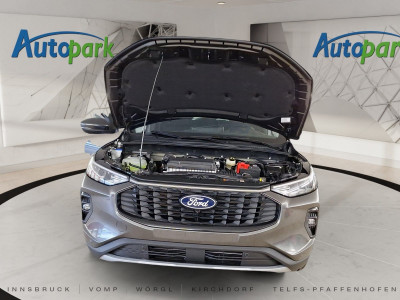 Ford Kuga Vorführwagen