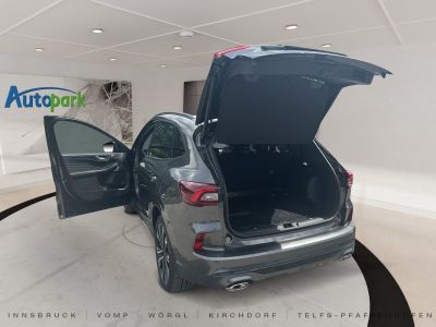 Ford Kuga Vorführwagen Ford Kuga Vorführwagen
