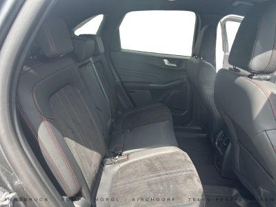 Ford Kuga Vorführwagen Ford Kuga Vorführwagen