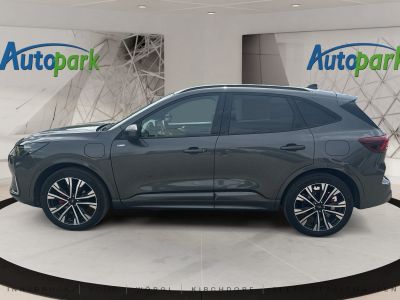 Ford Kuga Vorführwagen Ford Kuga Vorführwagen