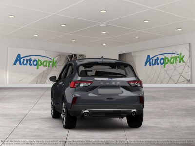 Ford Kuga Vorführwagen