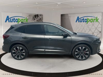 Ford Kuga Vorführwagen Ford Kuga Vorführwagen