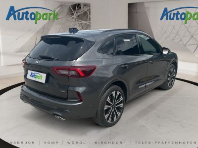 Ford Kuga Vorführwagen Ford Kuga Vorführwagen