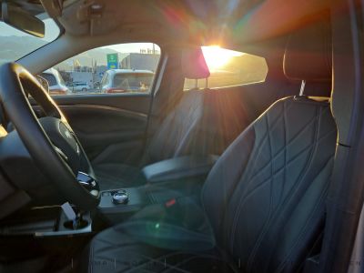 Ford Mustang Mach-E Gebrauchtwagen