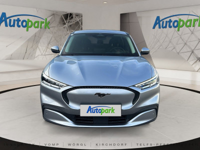 Ford Mustang Mach-E Gebrauchtwagen