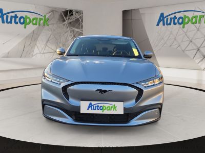 Ford Mustang Mach-E Gebrauchtwagen