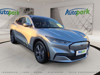 Ford Mustang Mach-E Gebrauchtwagen