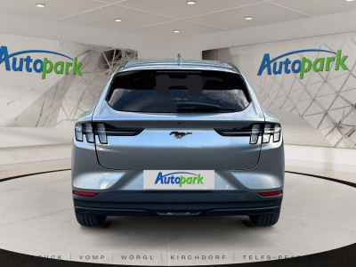 Ford Mustang Mach-E Gebrauchtwagen