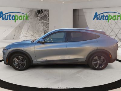 Ford Mustang Mach-E Gebrauchtwagen