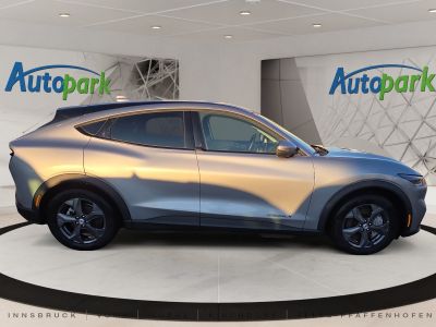 Ford Mustang Mach-E Gebrauchtwagen