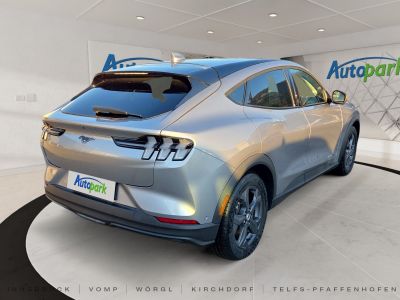 Ford Mustang Mach-E Gebrauchtwagen