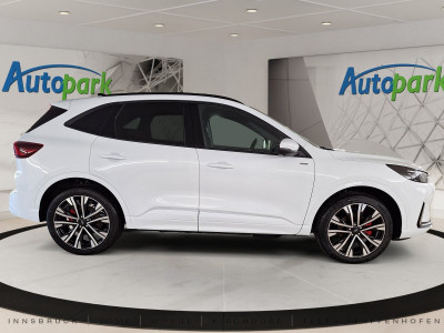 Ford Kuga Vorführwagen Ford Kuga Vorführwagen