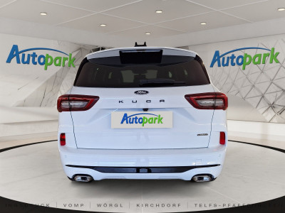 Ford Kuga Vorführwagen Ford Kuga Vorführwagen