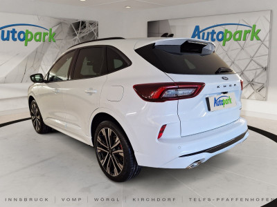 Ford Kuga Vorführwagen Ford Kuga Vorführwagen