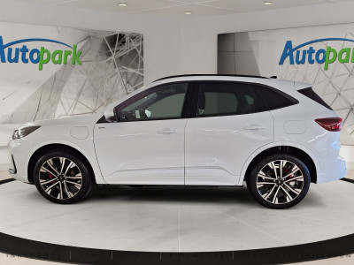 Ford Kuga Vorführwagen Ford Kuga Vorführwagen