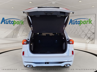 Ford Kuga Vorführwagen Ford Kuga Vorführwagen