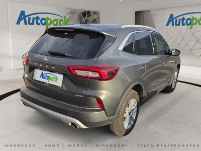 Ford Kuga Gebrauchtwagen
