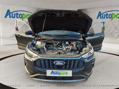 Ford Kuga Gebrauchtwagen