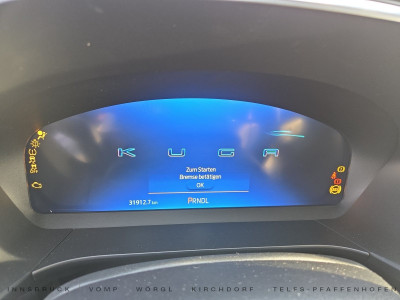 Ford Kuga Gebrauchtwagen